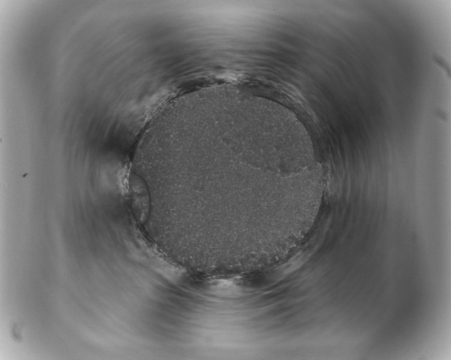 X0000102400285200808291452