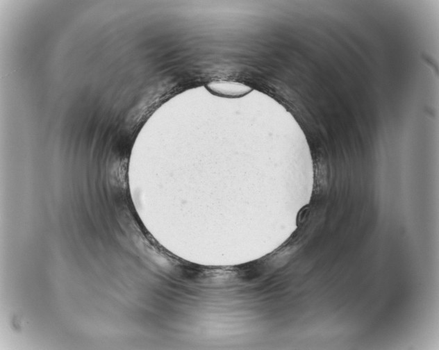 X0000102400286200808291452