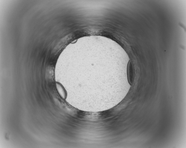 X0000102400288200808291452