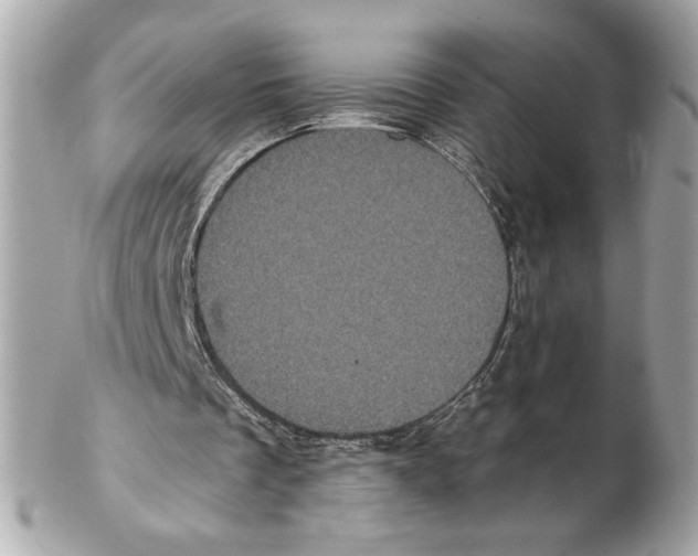 X0000102400289200808291451