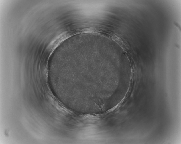 X0000102400290200808291451