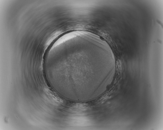X0000102400292200808291451