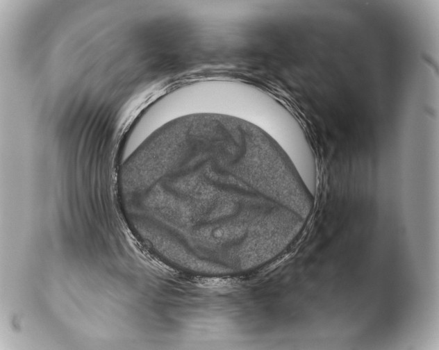 X0000102400293200808291451