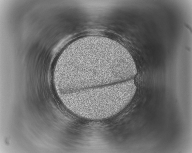 X0000102400294200808291451