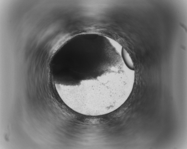 X0000102400295200808291451