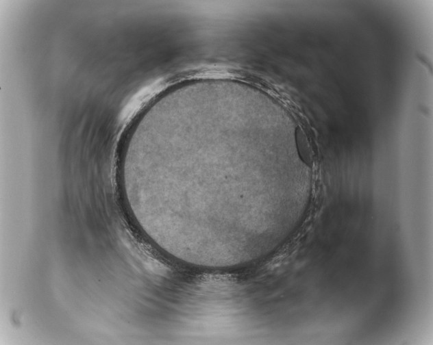 X0000102400296200808291451
