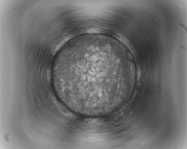 X0000102400297200808291451
