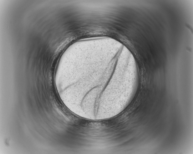 X0000102400298200808291451