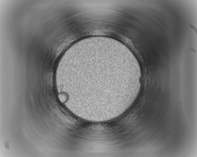 X0000102400299200808291451