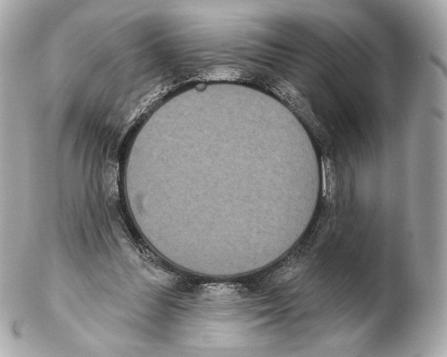 X0000102400300200808291451
