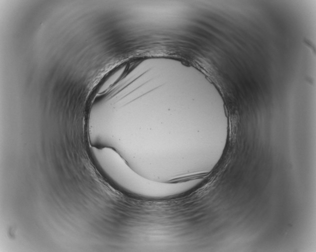 X0000102400301200808291451