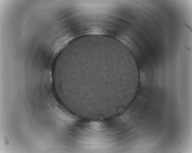 X0000102400302200808291451