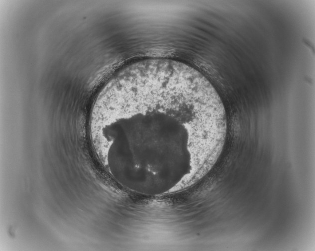 X0000102400303200808291451