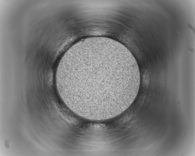X0000102400304200808291451