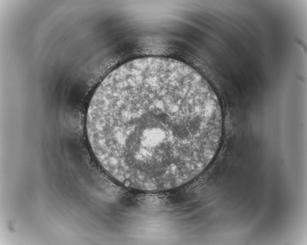 X0000102400305200808291451
