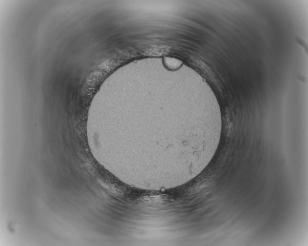 X0000102400307200808291451