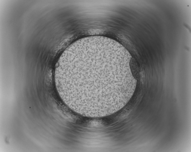 X0000102400308200808291451