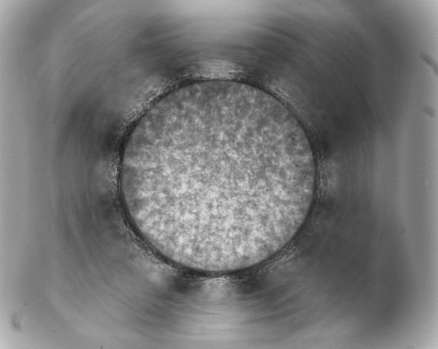 X0000102400309200808291451
