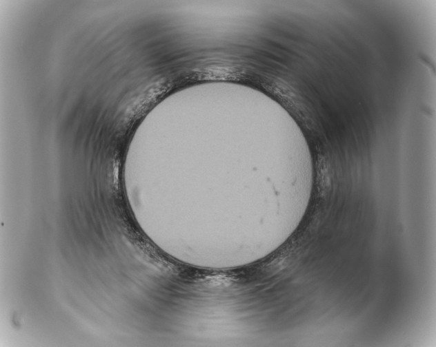 X0000102400310200808291451