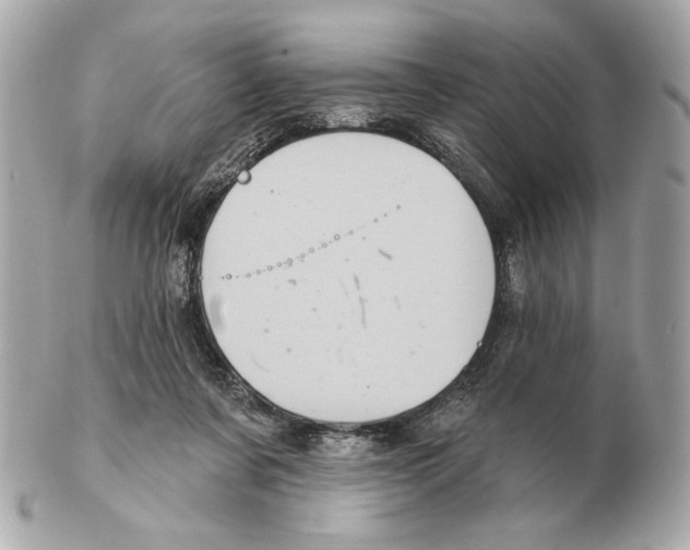 X0000102400311200808291451