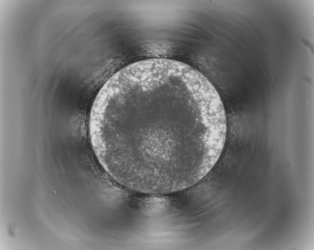 X0000102400313200808291451