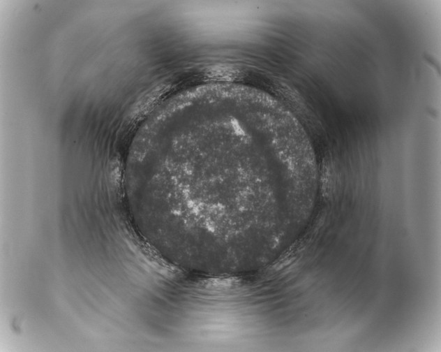 X0000102400314200808291451
