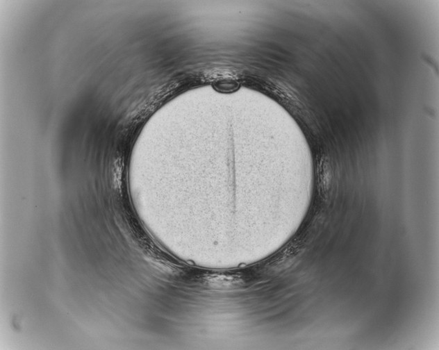 X0000102400315200808291451