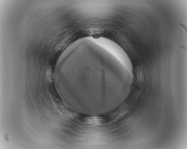X0000102400316200808291451
