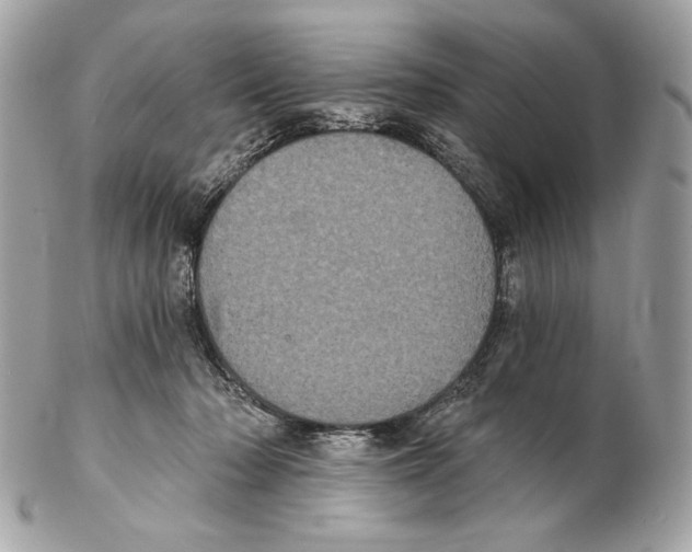 X0000102400318200808291451