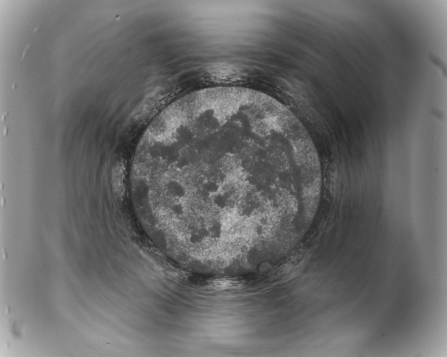 X0000102400319200808291451