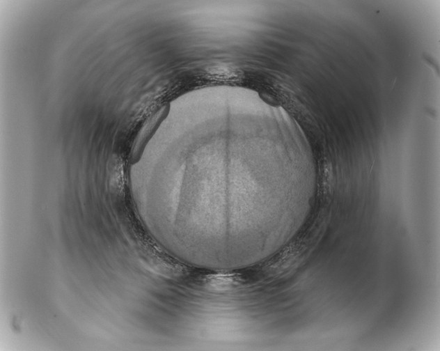 X0000102400320200808291451