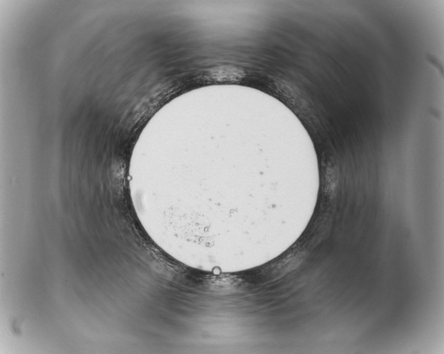 X0000102400321200808291451