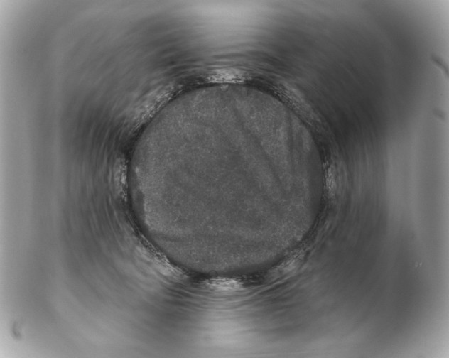X0000102400322200808291451