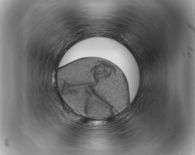 X0000102400323200808291451