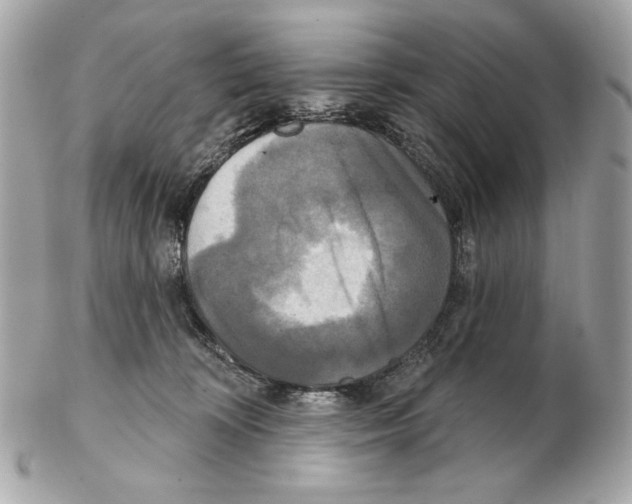 X0000102400324200808291451