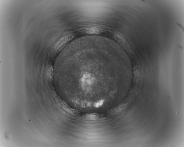 X0000102400325200808291451