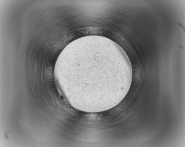 X0000102400326200808291451
