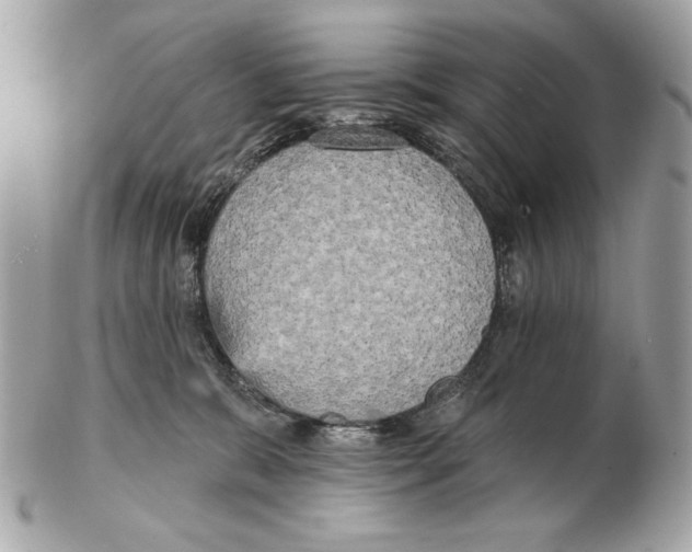 X0000102400327200808291451