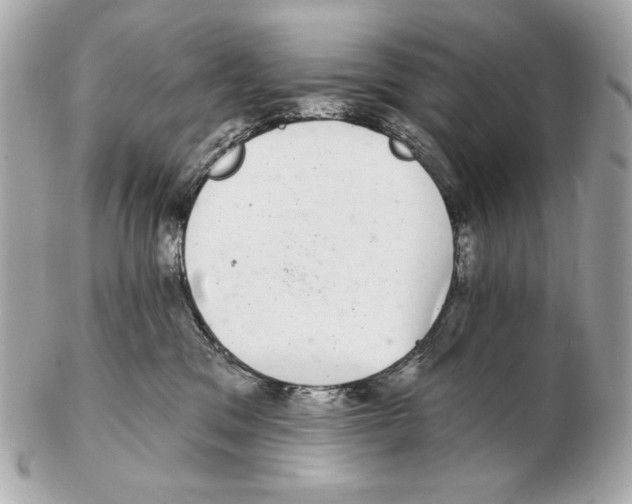 X0000102400329200808291451