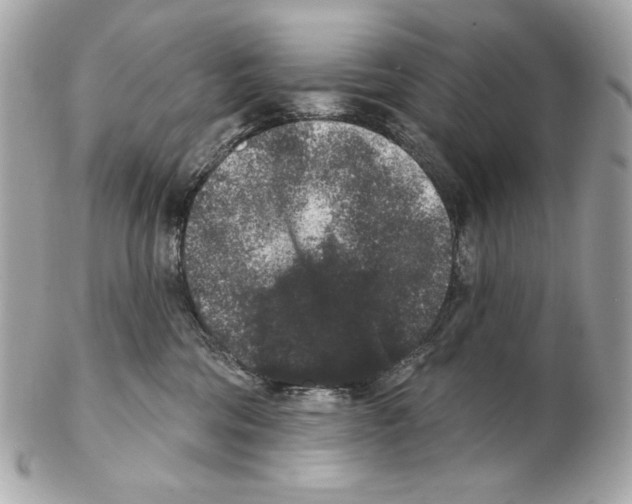 X0000102400330200808291451