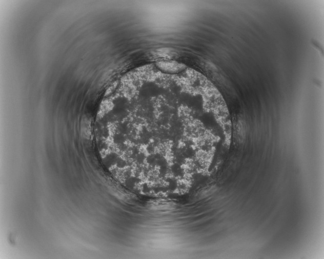 X0000102400331200808291451