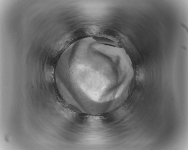 X0000102400332200808291451