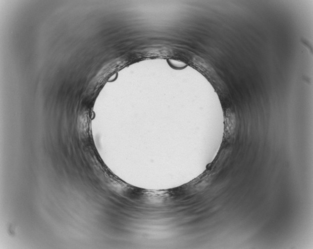X0000102400333200808291451