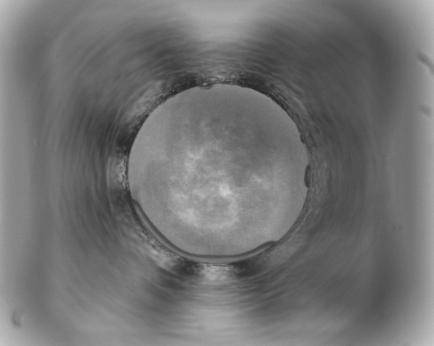 X0000102400336200808291451