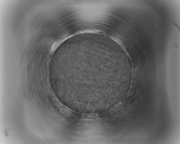 X0000102400337200808291450