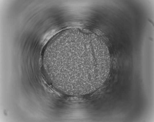 X0000102400338200808291450