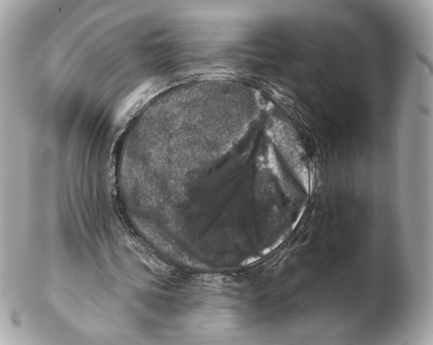 X0000102400339200808291450