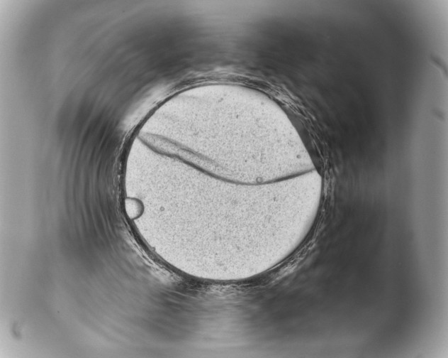 X0000102400341200808291450