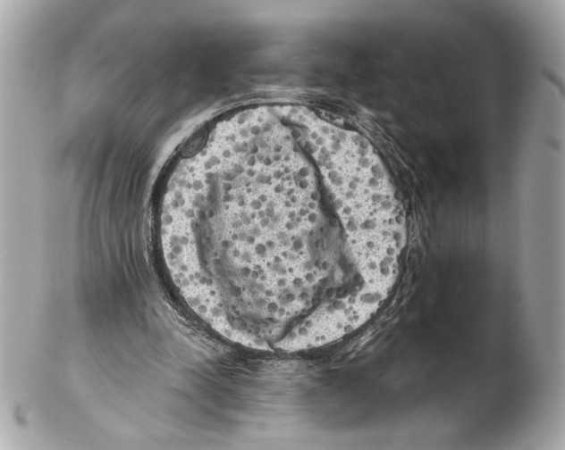 X0000102400342200808291450