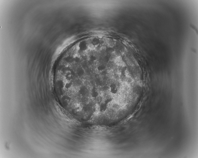 X0000102400343200808291450